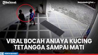 Download Lagu Viral Detik-detik Bocah Aniaya Kucing Tetangga sampai Mati, Orang Tua Janji Ganti Rugi MP3