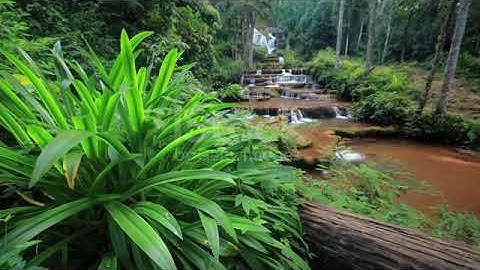 Sapa Nơi Gặp Gỡ Đất Trời - LK Nhạc Sống Tây Bắc Có Lời - Những Ca Khúc Hay Nhất Về Miền Núi Tây Bắc