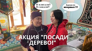 Узбекистан ! Бухара! Бухарский плов Ош-Софи из медного казана! Акция «Посади дерево!» Впуть