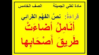 قراءة نص الفهم القرائي أنامل أضاءت طريق أصحابها الصف الخامس