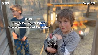 Day in the Life, Off Grid, Large Family, Australia small homestead | 305