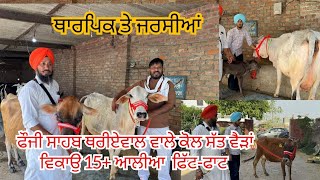 28 April 2026 ਫੋਨ 98141-78121 👈 6-7 ਗਾਂਵਾ ਵਿਕਾਊ ਪੂਰੀਆ ਘੈਂਟ ਘੈਂਟ ਦੁੱਧ ਵਾਲੀਆ ਨਾਲ ਜਰਸੀਆ ਟੋਪ ਟੋਪ ਬਰੀਡ 