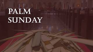Palm Sunday (10 am)
