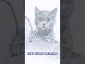 Grey kitten #drawing #sketch #shorts #art #cute #catholic #realistic