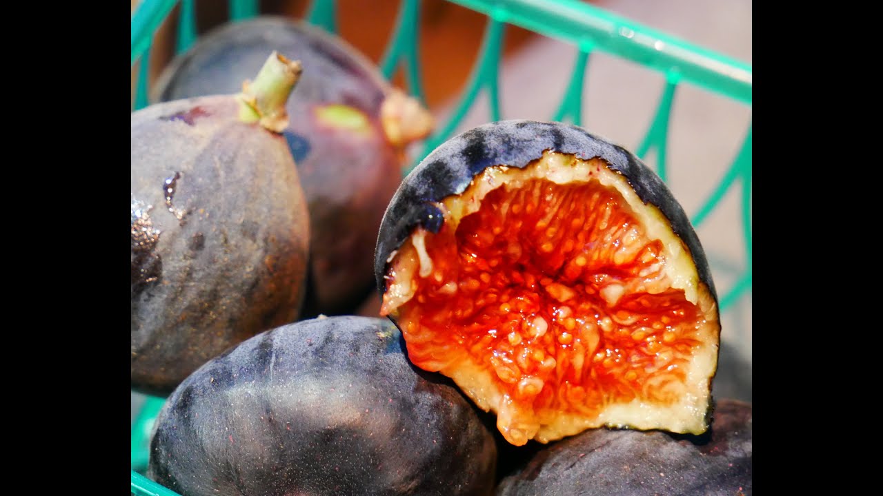 Whole Foods Haul Glowing Figs! YouTube