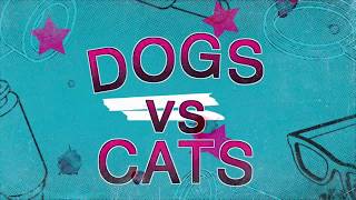 Focus Game "Cat or Dog" screenshot 2