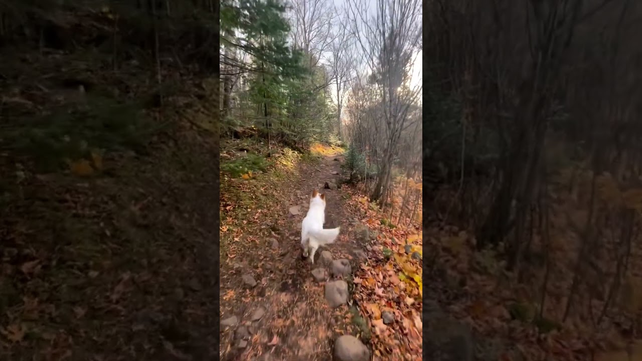 MN North Shore Camping Trip Recap