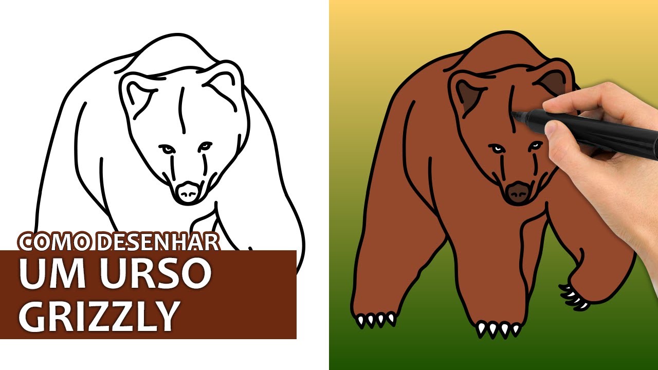 Como Desenhar Um Urso Para Criancas Passo A Passo Easy Steps To Draw A