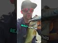 Gillie swimbaits aren't all trash. #fishing #kayakfishing #michigan