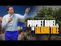 Prophet Angel &amp; The Talking Tree | Prophet Uebert Angel