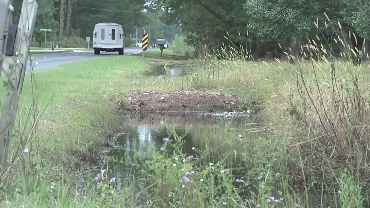 Beaufort woman calls on NCDOT to clean up persistently clogged ditches