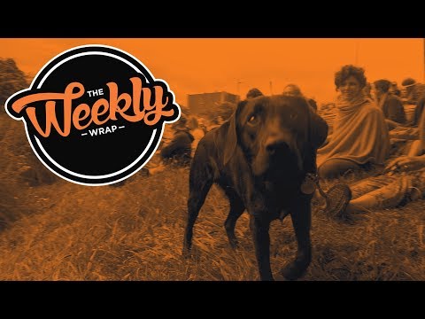 Related Embedded Video Item Thumbnail