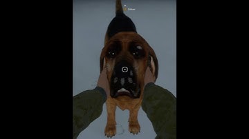 Day 6#viral #viralvideo #video #youtubeshorts #ytshorts #youtube #shorts #shortvideo #song #short