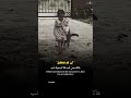 إن لم تتمسك هاكد بمن تحب فلا تسمية حب حالات وتساب اقتباسات ستوريات تصميمي إن لم تتمسك هاكد بمن تحب فلا تسمية حب حالات وتساب اقتباسات ستوريات تصميمي