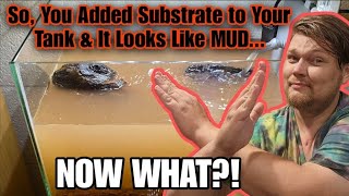 These Tricks Will Clear A Muddy, Murky Aquarium FAST! How to Deal With Dusty Aqua Soil & Substrates