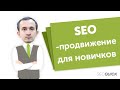 SEO Продвижение сайта для начинающих: Обучение для новичков (Видеоурок 2019)