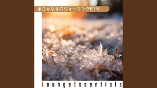 Beneath the Winter Moonlight