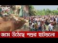 জমে উঠেছে কোরবানির পশুর হাট | DBC NEWS