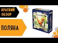 Поляна — краткий обзор настольной игры 🌲🌳🌼