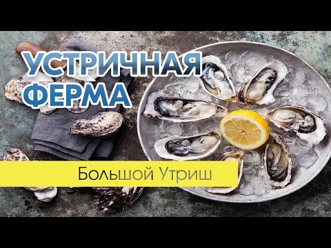 Устричная ферма и черноморские мидии. Большой Утриш