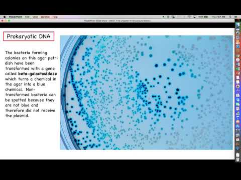 تصویری: منبع DNA چیست؟