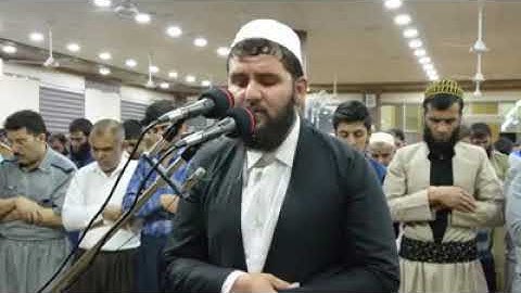 تلاوة القارئ دلشاد أحمد الكردي