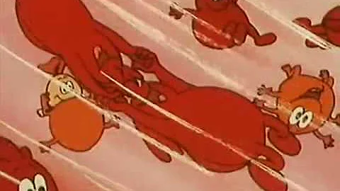 Jaké jsou srdeční choroby?