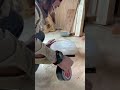 【大工】チリトリがなくても大丈夫なやりかた!