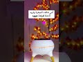 مبخرة قنديل البحر