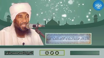 سورة النحل | الشيخ القارئ : أحمد محمد طاهر  " حفظه الله "