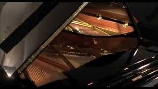 C. Bechstein - Grand Pianos & Uprights since 1853 : corporate film 2002 C. Bechstein - Grand Pianos & Uprights since 1853 : corporate film 2002