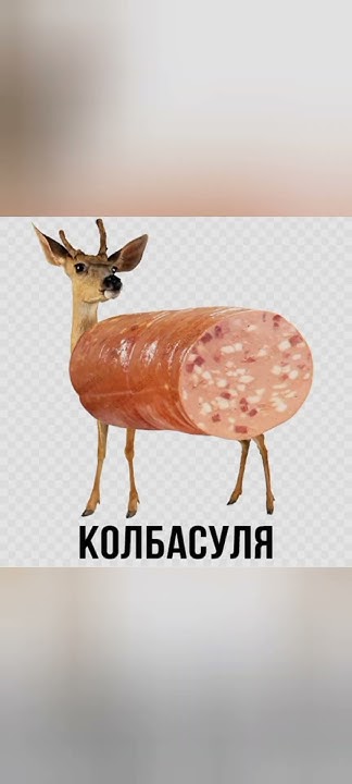 #приколы - YouTube