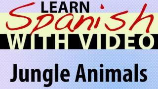 Learn Spanish with Video - Jungle Animals