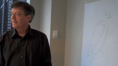 David Allen Sibley: The Bird Inside the Bird