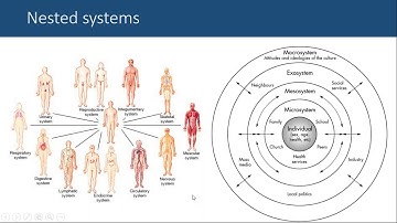 CECAN Webinar  Complexity Theory and “Invisible Mechanisms”