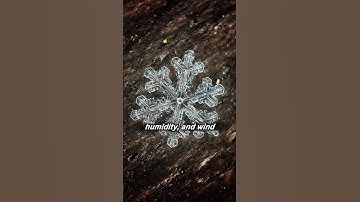 Why You Will Never See This Snowflake Again