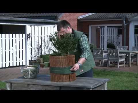 Video: So Bereiten Sie Rosen Für Den Winterschutz Vor