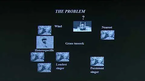 Prof. Rohini Balakrishnan @InSearch 2018 JNCASR