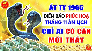 ĐIỀM BÁO PHÚC HỌA Tuổi Ất Tỵ 1965 Tháng 11 Âm Lịch, Chỉ Ai Có Căn Mới Thấy
