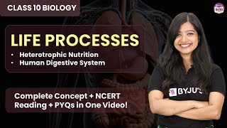 Life Processes- L2 | Heterotrophic Nutrition | Human Digestive System | Chapter 5 Class 10 Science