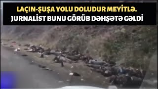 LAÇINDAN ŞUŞAYA GEDƏN YOL DOLUDUR MEYİTLƏ. YOLUN SAĞI SOLU HƏR YER MEYİTDİR...