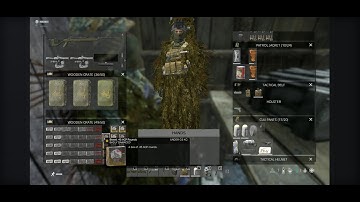 DayZ Official server raid