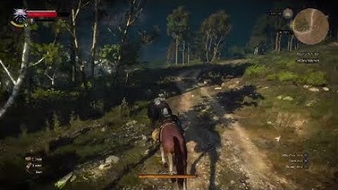 The Witcher 3 save bugs FIX