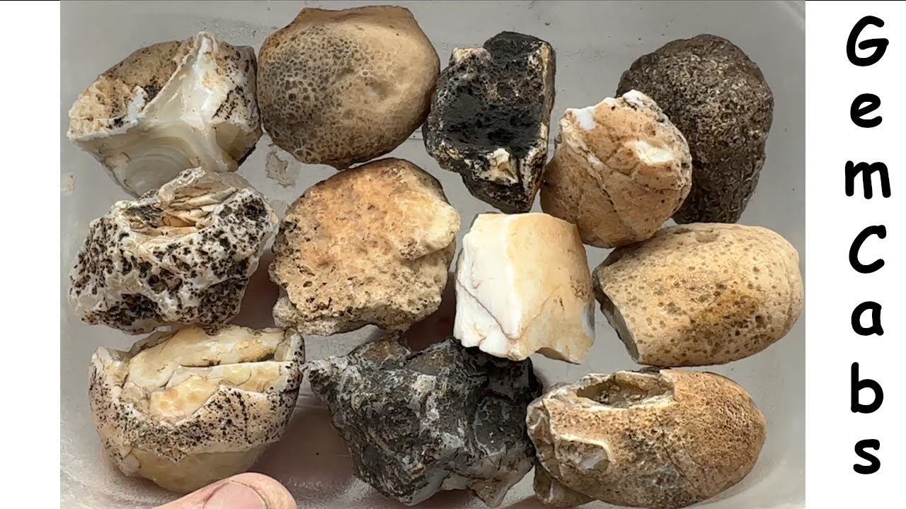Group of Miscellaneous Arizona Rocks Cut Open to Reveal What is Hiding ...
