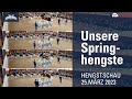 Hengstschau 2023 nachbericht  hengststation schult springhengste