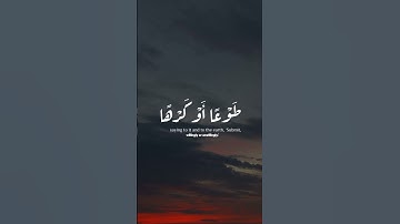 سورة فصلت - اسلام صبحي #قران_كريم #quran #راحة_نفسية #اكسبلور #اكسبلور_فولو #اسلام_صبحي #سورة_فصلت