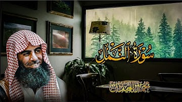 تلاوة جميله سورة النمل[60-61]|القارئ محمد اللحيدان🫀 أمن جعل الارض قرارا🤍🌿