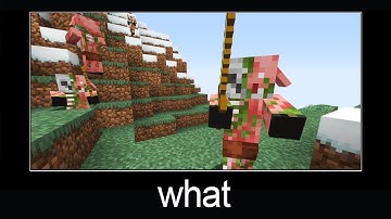 Minecraft What The Piglin in overworld?