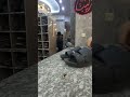 الكرم عدنه يختلف عن غيرنه الرادود حيدر البياتي الكرم عدنه يختلف عن غيرنه الرادود حيدر البياتي
