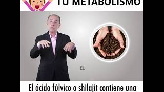 Restaura tu metabolismo con SOMARENEW